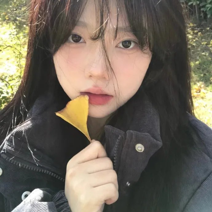 爱情动物